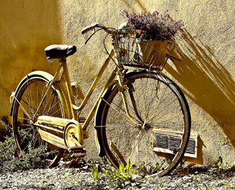 Verona by Bike with Private Guide