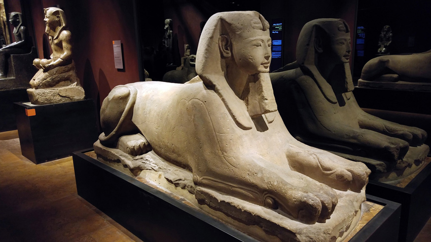 Museo Egizio torino cosa vedere