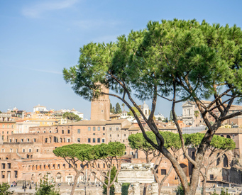 Tickets to Trajan's Market 